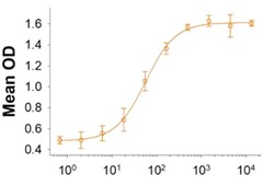 Activity Data (SLAMF7-051H).jpg